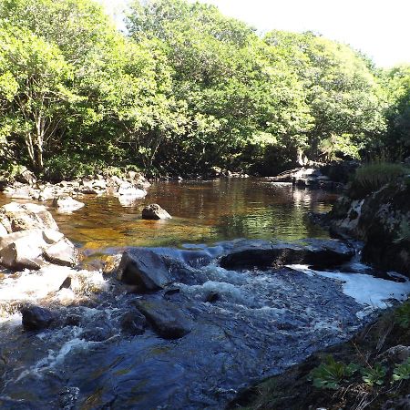 Joyces Waterloo House B&B Clifden Luaran gambar